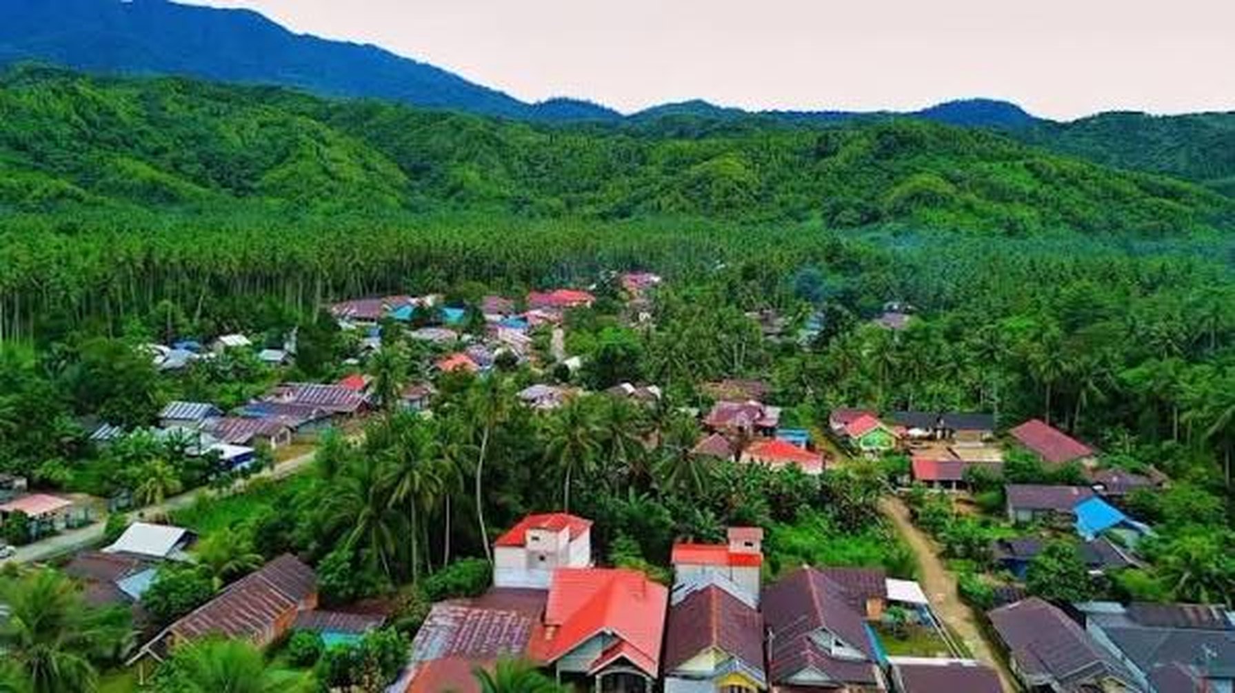 Permukiman Desa Lakatan dilihat dari udara